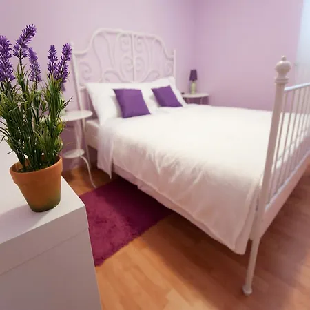 Viola Апартаменти *